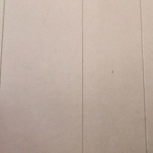 Meet your Posher, Pablo